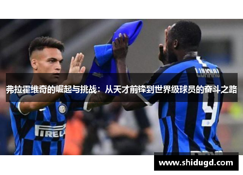弗拉霍维奇的崛起与挑战：从天才前锋到世界级球员的奋斗之路