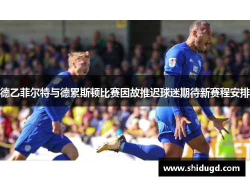 德乙菲尔特与德累斯顿比赛因故推迟球迷期待新赛程安排